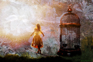 Free of Cage by Alice Popkorn  Used with Permission  Creative Commons License https://www.flickr.com/photos/alicepopkorn